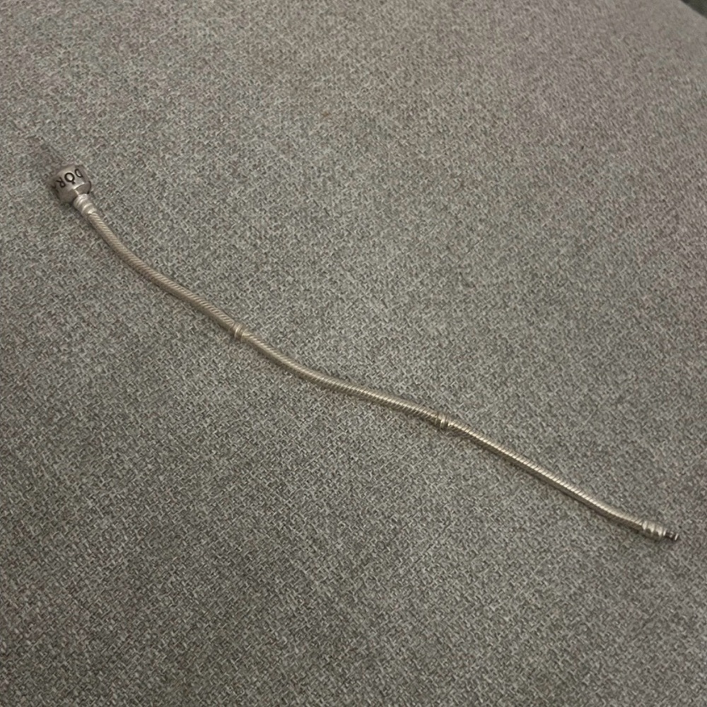 Silver Pandora Bracelet